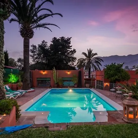 فيلة Tiphareth *